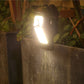 🥳2026 HOT SALE🥳💞50K+ SOLD!✨ 💝Home Outdoor Garden Solar Charging Induction Light