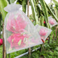🔥Buy 2 Get 3 Free🍎Protective Mesh Cover for Fruit Trees🍋