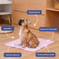 🔥Hot sales 50% Off💥Summer Pet Cooling Mat