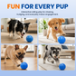 🏆Limited Time Sale 50% OFF 🐶🐾Smart Interactive Bouncing Ball