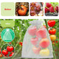 🔥Buy 2 Get 3 Free🍎Protective Mesh Cover for Fruit Trees🍋
