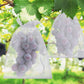 🔥Buy 2 Get 3 Free🍎Protective Mesh Cover for Fruit Trees🍋