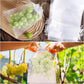 🔥Buy 2 Get 3 Free🍎Protective Mesh Cover for Fruit Trees🍋