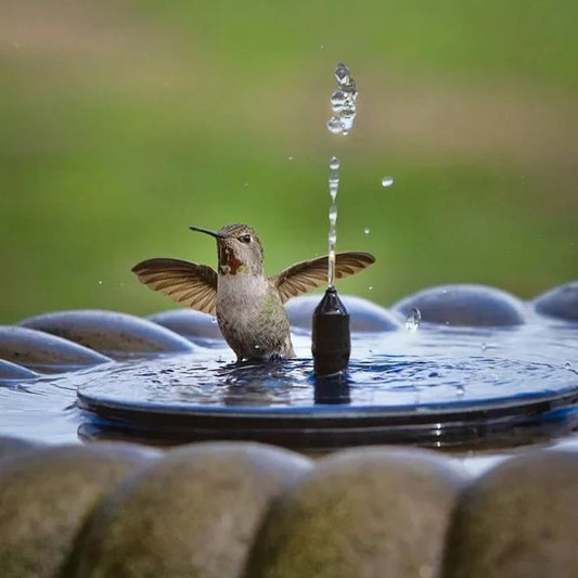 🥳2026 HOT SALE🥳💞50% OFF!✨ 💝Compact Solar Bird Fountain Pump – Keep Your Garden Alive! 🐦️