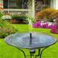 🥳2026 HOT SALE🥳💞50% OFF!✨ 💝Compact Solar Bird Fountain Pump – Keep Your Garden Alive! 🐦️