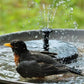 🥳2026 HOT SALE🥳💞50% OFF!✨ 💝Compact Solar Bird Fountain Pump – Keep Your Garden Alive! 🐦️