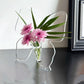🎁New Arrivals 50% OFF💥Transparent Butterfly-Inspired Decorative Vase