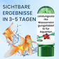 🍃💦Leistungsstarke Wasserreinigungstablette für Aquarien✨✨