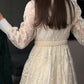 🎁New arrival 53% OFF💥Vintage Embroidered Lantern Sleeve Dress