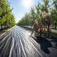 🔥 Hot Sale 🔥Weed Control Fabric