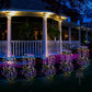 💐50% OFF ! Solar Garden Lights – Warm & Inviting Glow for Patio ✨🏠【Limited Offer】
