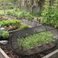 🔥 Hot Sale 50% OFF 🔥Pop-Up Plant Protection Mesh Cover