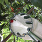 🍎 LIMITED-TIME 50% OFF! ⏰Fruit Picker with Collection Basket