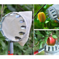 🍎 LIMITED-TIME 50% OFF! ⏰Fruit Picker with Collection Basket