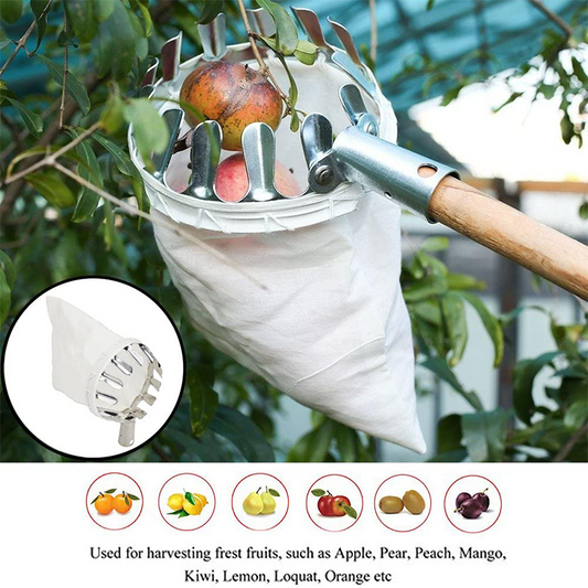 🍎 LIMITED-TIME 50% OFF! ⏰Fruit Picker with Collection Basket