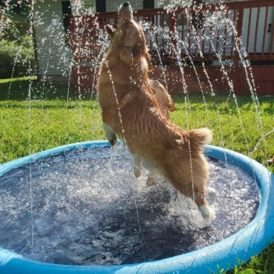 🏊SUMMER HOT SALE 57% OFF NOW! 🌊 Pawsh™ Foldable Dog Splash Pad🇬🇧 Big Sprinkler Mat for Garden & Beach 🌊☀️ | Non-Slip, Quick-Dry Play Pool for Dogs 🐾 | Folds Flat in Seconds! 🎒🐕
