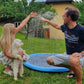 🏊SUMMER HOT SALE 57% OFF NOW! 🌊 Pawsh™ Foldable Dog Splash Pad🇬🇧 Big Sprinkler Mat for Garden & Beach 🌊☀️ | Non-Slip, Quick-Dry Play Pool for Dogs 🐾 | Folds Flat in Seconds! 🎒🐕