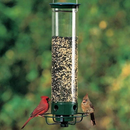 🎁New Arrival 50% OFF💥Squirrel-Proof Bird Feeder