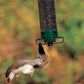 🎁New Arrival 50% OFF💥Squirrel-Proof Bird Feeder
