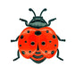 🐝 LIMITED-TIME 50% OFF! ✨ 3D Insect Wall Hangings – Bee, Butterfly, Ladybug, Weather-Resistant