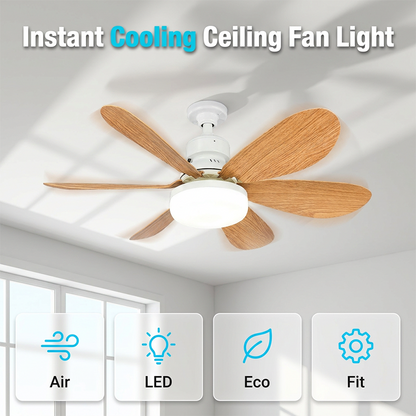 ⏳LIMITED-TIME 55% OFF!⏰2-in-1 Smart Ceiling Fan Light