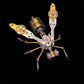 🐝New Arrivals 50% OFF💥3D Metal Bee Puzzle Assembly Model Kit