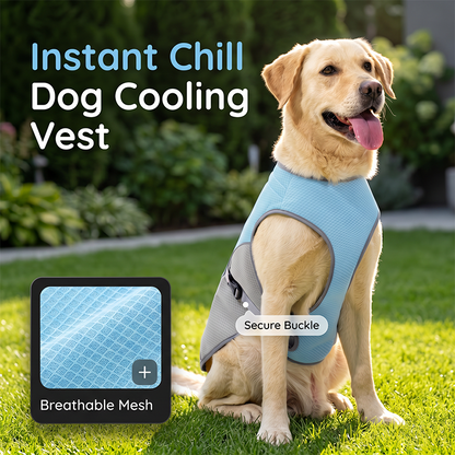 🐶 56% OFF NOW! ☀️ Dog Cooling Vest Harness – Ice-silk fabric & adjustable – Keeps your pet cool in summer – perfect for walks, beach or travel 🐾🌊✨