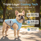 🐶 56% OFF NOW! ☀️ Dog Cooling Vest Harness – Ice-silk fabric & adjustable – Keeps your pet cool in summer – perfect for walks, beach or travel 🐾🌊✨