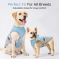 🐶 56% OFF NOW! ☀️ Dog Cooling Vest Harness – Ice-silk fabric & adjustable – Keeps your pet cool in summer – perfect for walks, beach or travel 🐾🌊✨