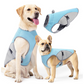 🐶 56% OFF NOW! ☀️ Dog Cooling Vest Harness – Ice-silk fabric & adjustable – Keeps your pet cool in summer – perfect for walks, beach or travel 🐾🌊✨