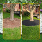 📢📢55% OFF !! ⏰Garden Edging Roll 10m with 30 Pegs🏡Roll It Out, Peg It Down – Neat Borders in Minutes ✨