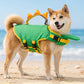 ⏳🔥LIMITED-TIME 50% OFF! 🌊Adjustable Dog Pool Safety Vest with Breathable Mesh Lining