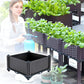 🌱LIMITED-TIME 50% OFF! 🥬 Multifunctional Planting Box – Grow veggies & herbs easily ✨