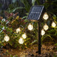 🎁New Arrivals 50% OFF💥Waterproof Bubble Solar String Lights for Patio