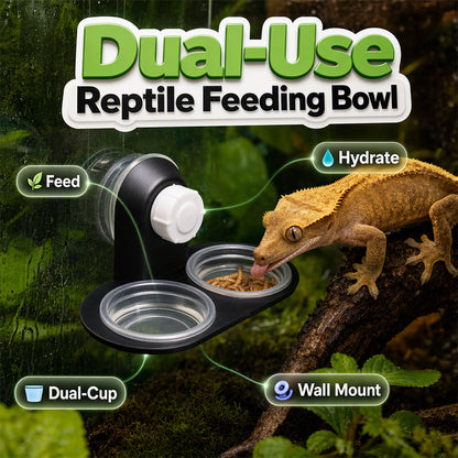 ⏳🔥LIMITED-TIME 50% OFF! ⏰ Double Reptile Feeding Ledge with Bowls – Secure Suction Hold & Removable Cups🦎