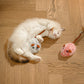 🎁New Arrivals 50% OFF💥Smart Electric Cat Toy Mouse