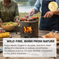 🥳2026 HOT SALE🔥 52% OFF! 🍳Portable Multi-Functional Stove – efficient combustion, cook & heat, durable metal, easy carry. Perfect for camping & patio! 🏕️💪