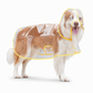📢New Arrivals 50% OFF🐕 Transparent Waterproof Dog Raincoat – Keep Your Pup Dry & Visible on Rainy Walks 🌧️