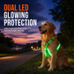 🥳2026 HOT SALE💞50K+ SOLD!✨ Adjustable LED Dog Harness Luminous Flashing Pet Chest Strap